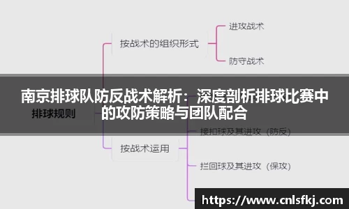 南京排球队防反战术解析：深度剖析排球比赛中的攻防策略与团队配合